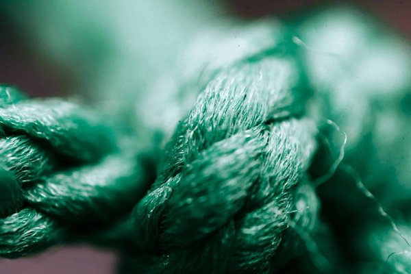 Quelles fibres manger pour perdre de la graisse au ventre ?