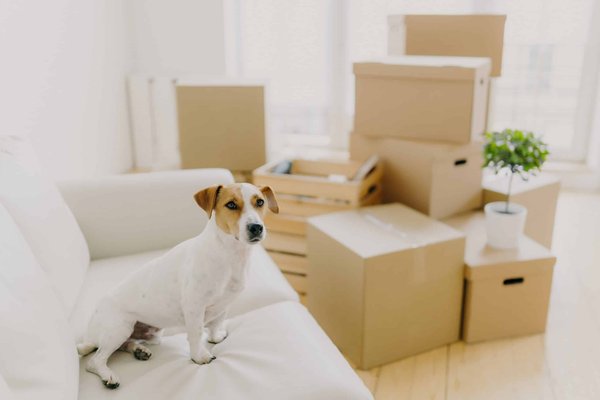 Comment se sentir bien à  la maison ?